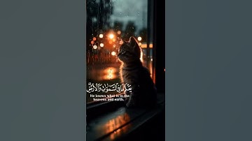 قل كفى بالله بيني وبينكم شهيدا/ سورة العنكبوت / القارئ عبد الرحمن مسعد #quran #المصحف #اكسبلور