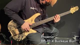 Ikebe B-Sound Check】Phoenix PH-III-4 Buckeye Burl【試奏動画