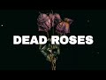 FREE Sad Type Beat - "Dead Roses" | Emotional Rap Piano Instrumental