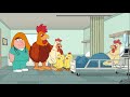 Family guy  peter meets giant chicken