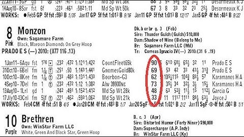 HORSE RACING HANDICAPPING ANGLES from the People who know.