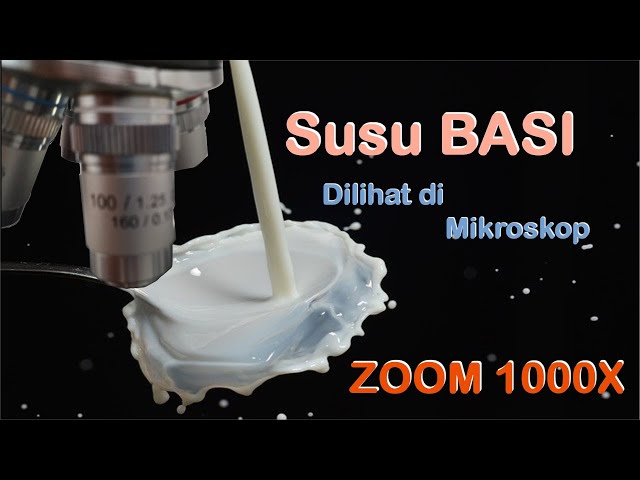 Zoom 1000x : Susu Basi Dilihat di Mikroskop class=