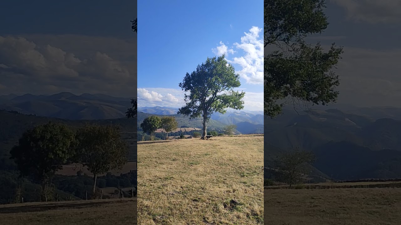 Tineo (Asturias). Maravillosas vistas desde el Campo de San Roque!! 11-08-23