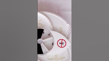 🏆Fly Trap for Dropshippers 👇Get the Winning Product for FREE https://www.goshippro.com/