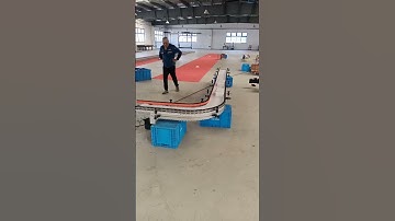 Flexible chain conveyor