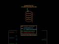 Lorentz Force on an AC Coil | Visualizing Current, Magnetic Field &amp; Force Vectors