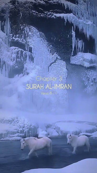 Surah Al Imran Chapter 3 Verse 8 11 Qur an Urdu Translation Quran surah-al-imran-chapter-3-verse-8-11-qur-an-urdu-translation-quran