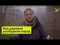 «Как деревья разбудили город». Анна Алимпиева и Александра Королёва