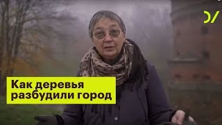 «Как деревья разбудили город». Анна Алимпиева и Александра Королёва