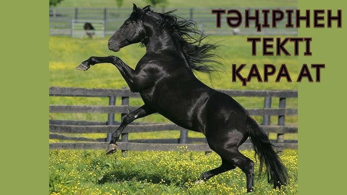 Жетілген орыс шлюхалар порно