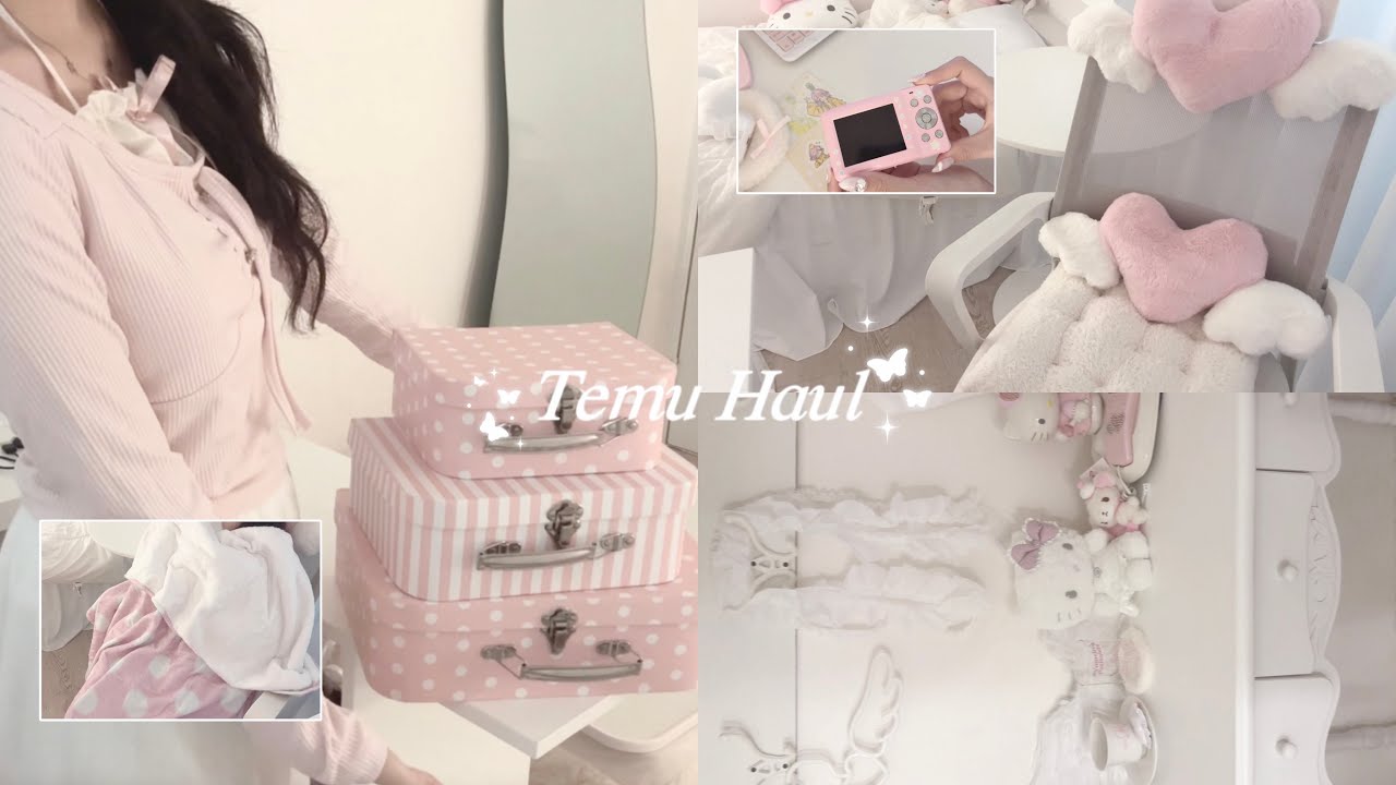 도트,, 핑크,, 날개,, 영원히 좋아할 테무템 하울⋆𐙚₊˚⊹♡