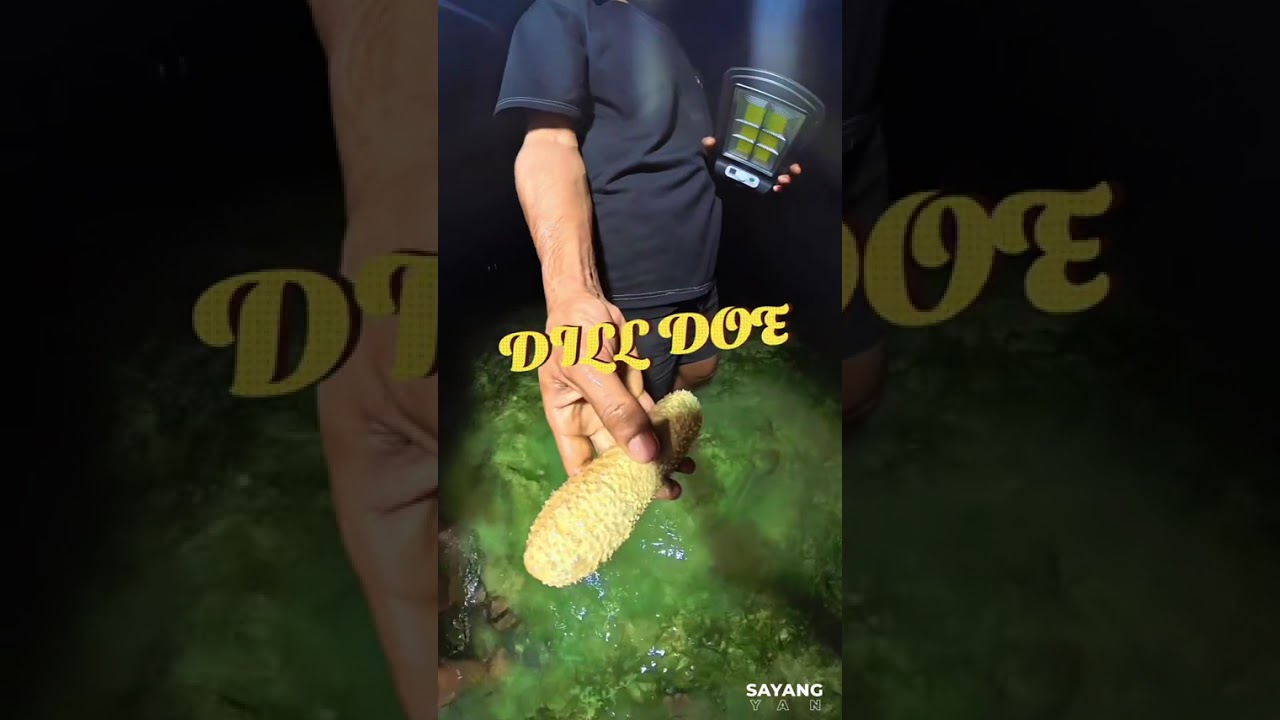 JOMALIG ISLAND ADVENTURE DAY 4-5