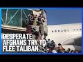 Desperate Afghans Try to Flee Taliban Insurgents at Kabul Airport | 10 News First