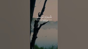 ✨ تلاوة خاشعة من سورة الحجرات | إنما المؤمنون إخوة – الشيخ الحصري