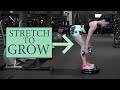 Legs and Glutes Gains | Full Workout with Free Weights