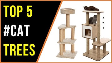 ✅Best Cat Trees 2022-Top 5 Cat Tree Reviews 2022