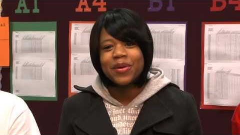 Differentiation and The Brain