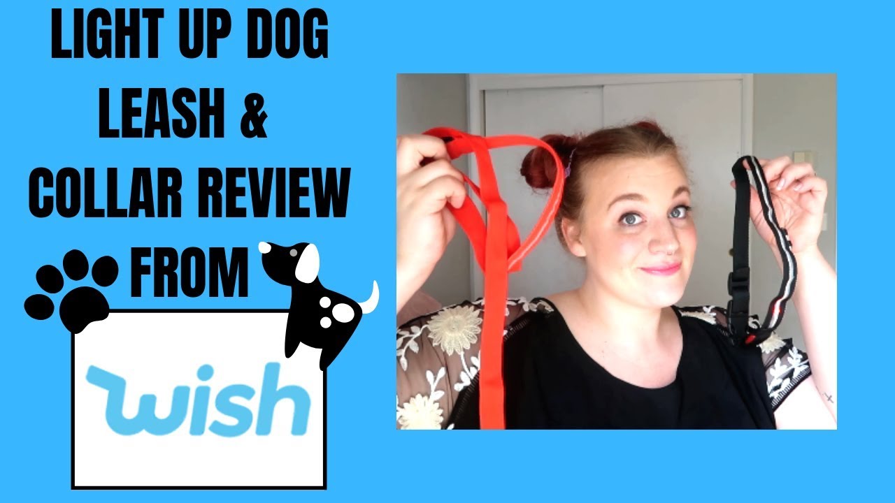 WISH DOG LED LIGHT UP DOG LEASH AND COLLAR REVIEW! WISH WEDNESDAY PET ITEMS!