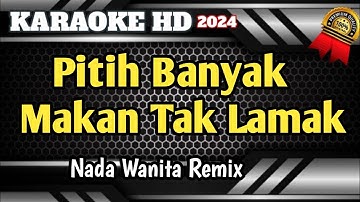 Pitih Banyak Makan Tak Lamak || Karaoke Minang Remix