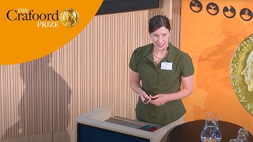 Hybrid speciation and genome stabilization in Passer sparrows