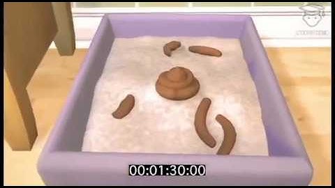 Animation Short Film - Sound Design Project