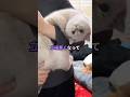 【スカッと】取引先でいじめっ子と再会した結果www