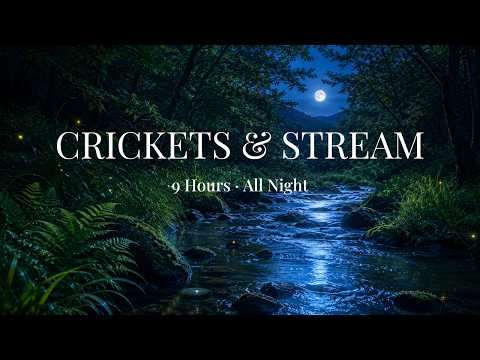 Summer Night Crickets & Gentle Stream 🌙 Fall Asleep Fast to Nature Sounds – 9 Hours (No Music)