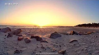 Sonnenaufgang Buhne 1 Heidkate thumbnail