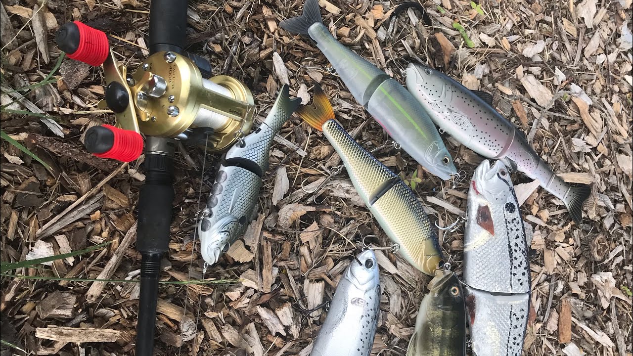 BIG Swimbait Swim Test 2022!