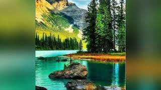 Imagens lindas para papel de parede💗 screenshot 2