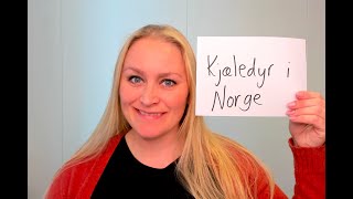 Video 974 Kjæledyr i Norge