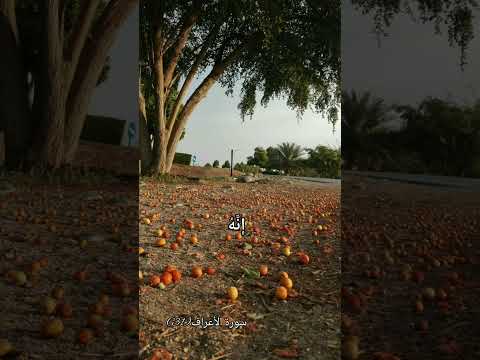 وكلوا واشربوا ولا تسرفوا إنه لا يحب المسرفين