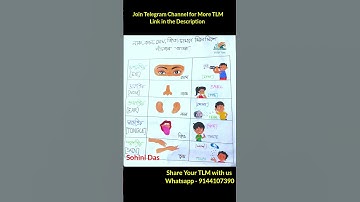 TLM (Chart) - পঞ্চ ইন্দ্রিয় (পরিবেশ) / Sense Organs (English) #externalexam #demo #shorts