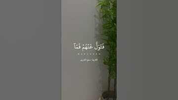 آيات من سورة الذاريات للقارئ سعود الشريم