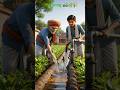 Bappu kisan hai  farming 🌾🌿🚜#viral #Shorts #farming #kisan #bappu