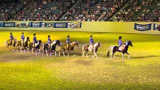 Chincoteague Pony Drill Team at Breyerfest 2025 Friday Evening