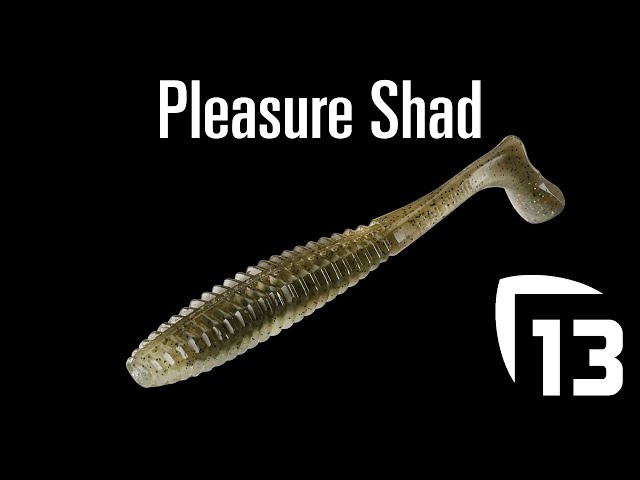 PLEASURE SHAD NEW 2020 / 13 FISHING SOFT PLASTIC