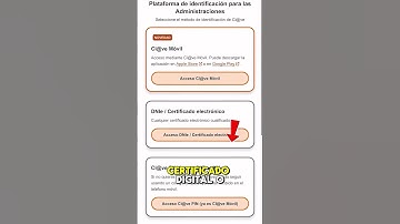 Canje de licencia para conducir en España se puede hacer por internet