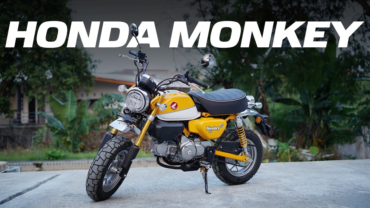 HONDA MONKEY