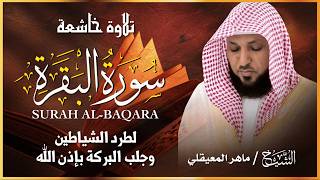 الشيخ ماهر المعيقلي  سورة البقرة  النسخة الأصلية  Surat Albaqra Official Audio