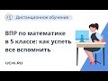 ВПР по математике в 5 классе: как успеть вспомнить всё после каникул