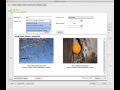 PageOne Curator 1.3.7 Cracked