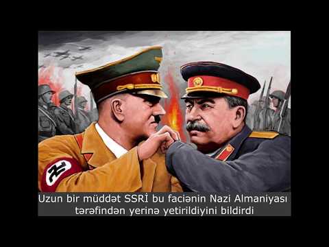 Video: Layihə 