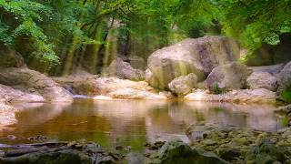 Forest River Ambience with Sunrays in 4K | Gentle Flowing Water & Summer Nature Sounds - Ep. 15