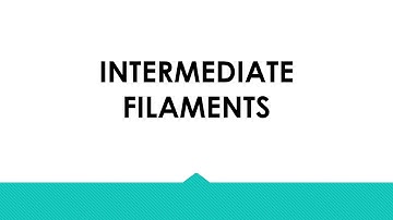 CYTOSKELETON Part 2: Intermediate Filaments