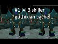 1 lvl 3 skiller guthixian cacher