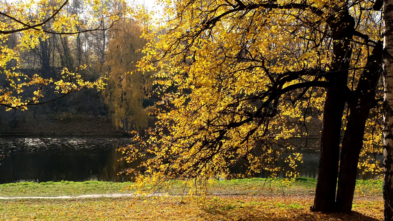 FUJIFILM X-T3: 4K (3840×2160), 60p, H.265 (HEVC), 4:2:0, 10 бит, профиль Std (PROVIA)