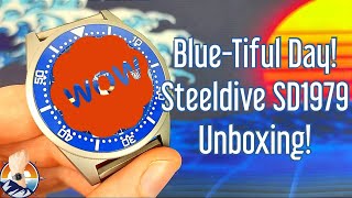 Blue-Tiful! Steeldive SD1979 Unboxing. #squale #steeldive #watchunboxing