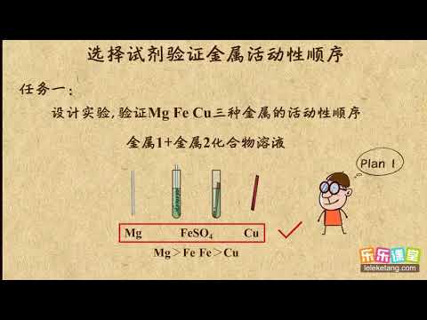 12选择试剂验证金属的活动性顺序  金属和金属材料  初中化学
