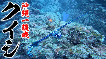 史上初 沖縄一級磯に潜って調査 巨大魚に引きずり込まれた竿発見 海底ゴミ拾い 